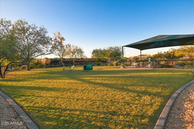 Dog Park