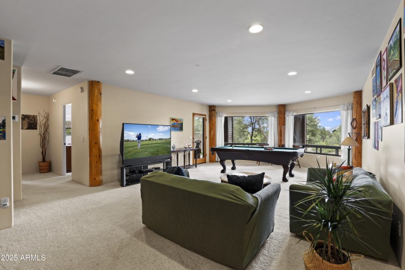 Downstairs Family Room