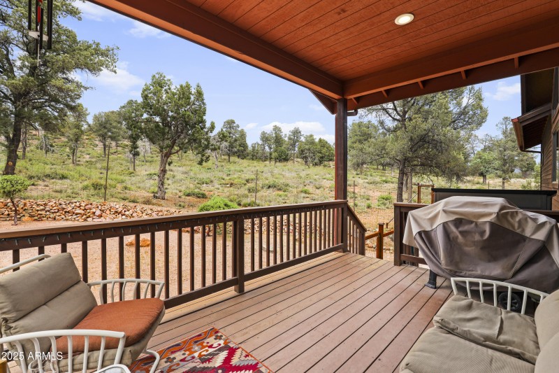 Covered Back Deck View of Forest
