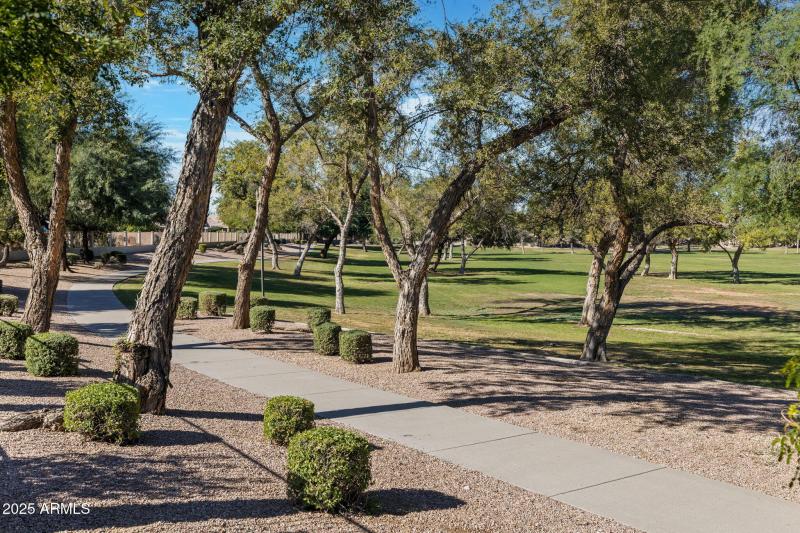 1250 W Canary Way Chandler - 318