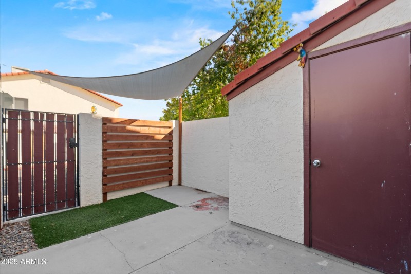 15-20251107-DSC09165