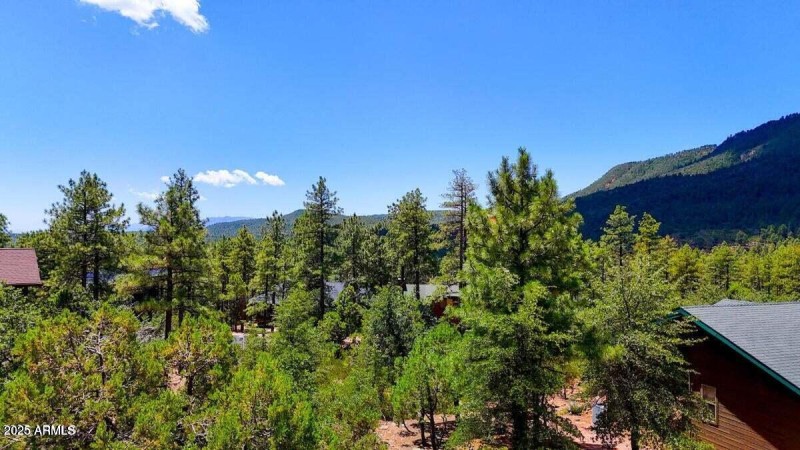 20250731170215364296000000-o (2)