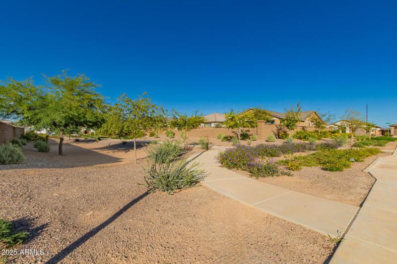 Walking Paths