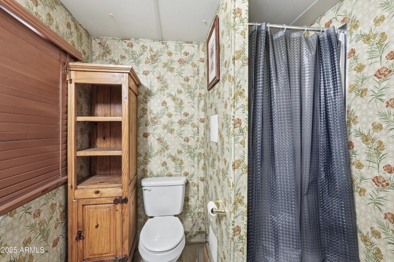 Primary Bathroom Shower