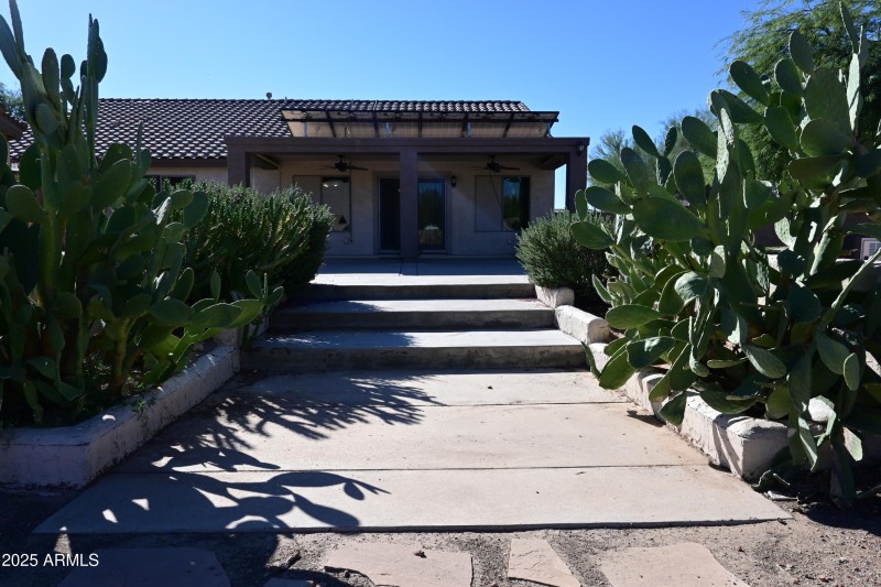 Backyard Steps to Covered Patio