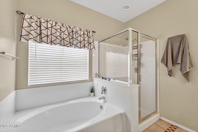 Owner's Tub & Shower