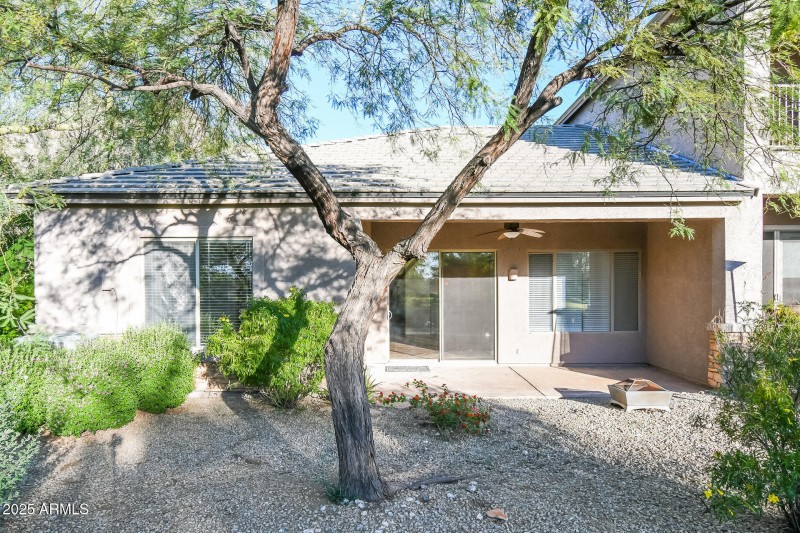 15-photo-Rear-View-ea38b75c-8f9b-4f98-b9