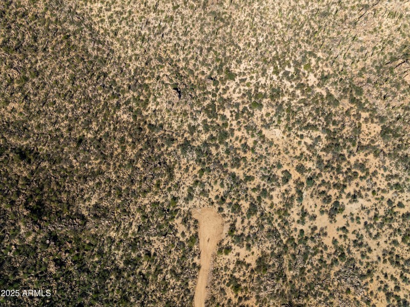 Build Your Custom Home