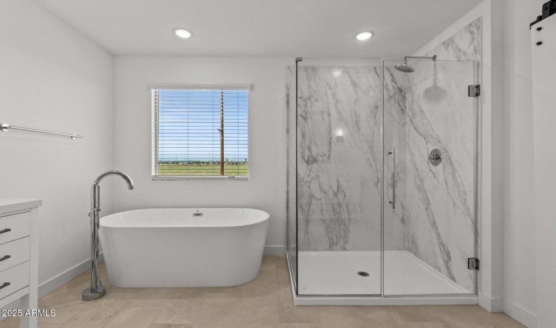 Manor Lot #55 Primary Bath (2) (Large)