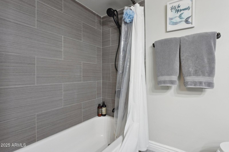 Guest shower/tub