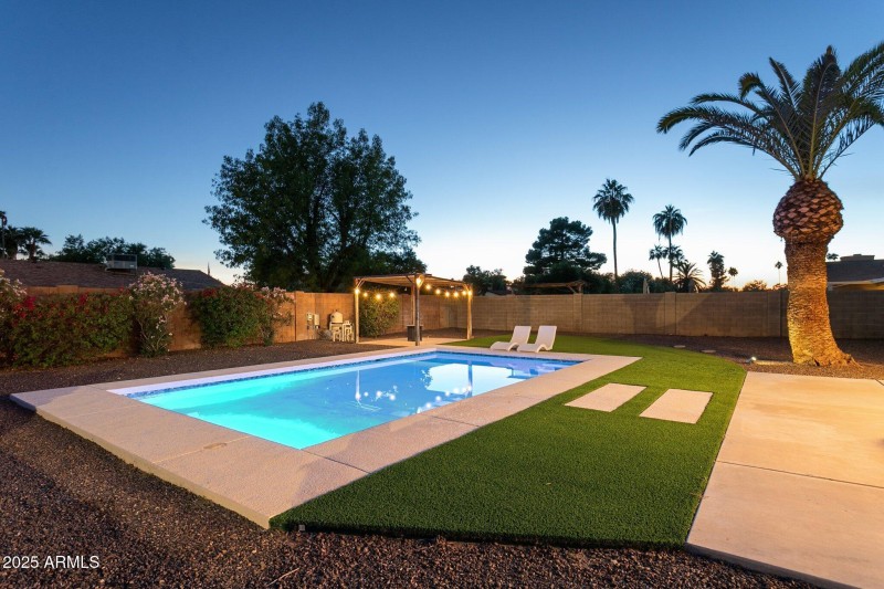 Contemporary rear yard design