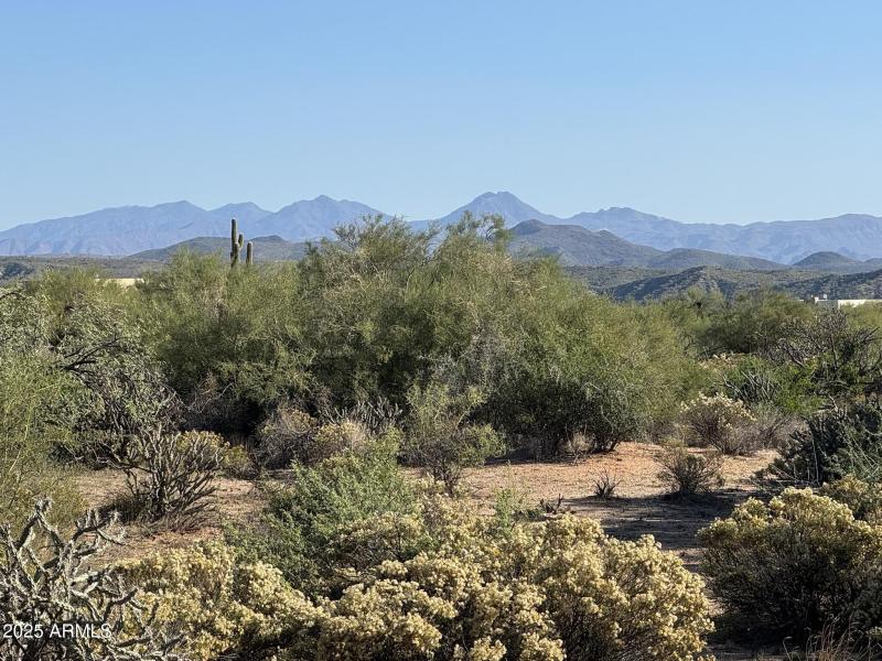 Stunning Mountain Views