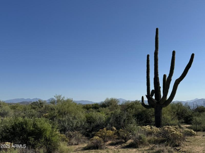 Come on out, you'll love the views!