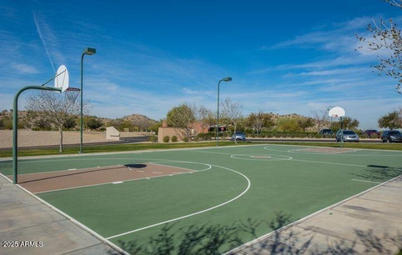 Basketball Court