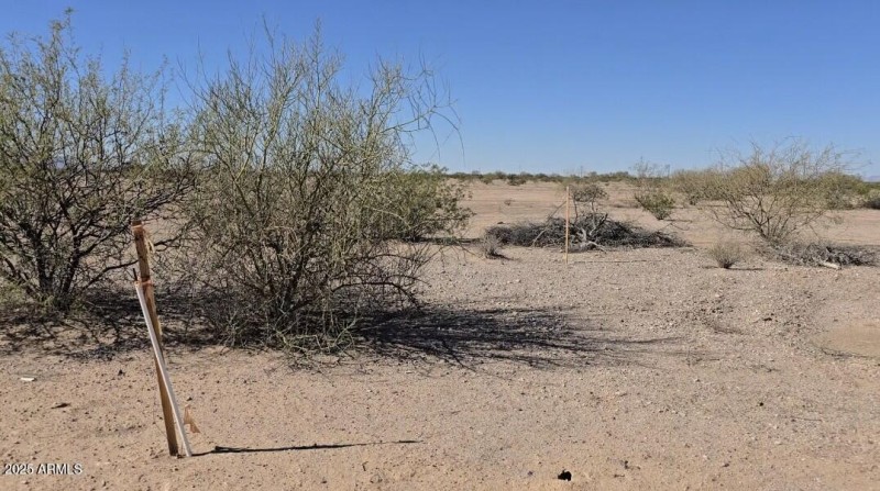 Screenshot_20251110_200421_Gallery