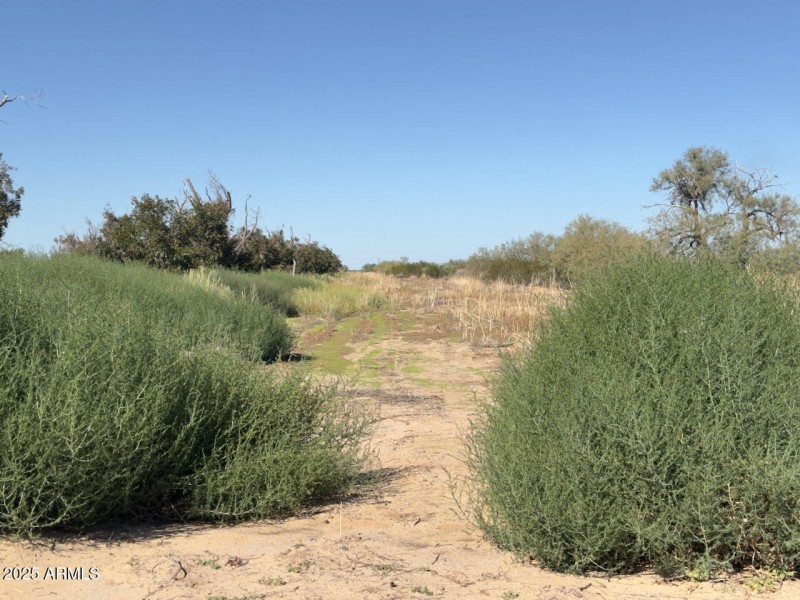 Copy of ground images - 18 of 32