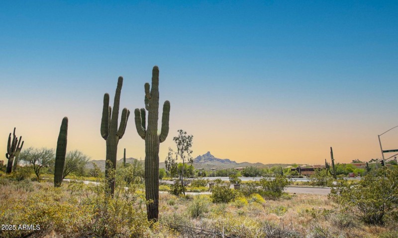 20250916025126396960000000-o