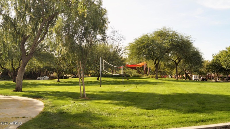 80+ Green Grass Parks