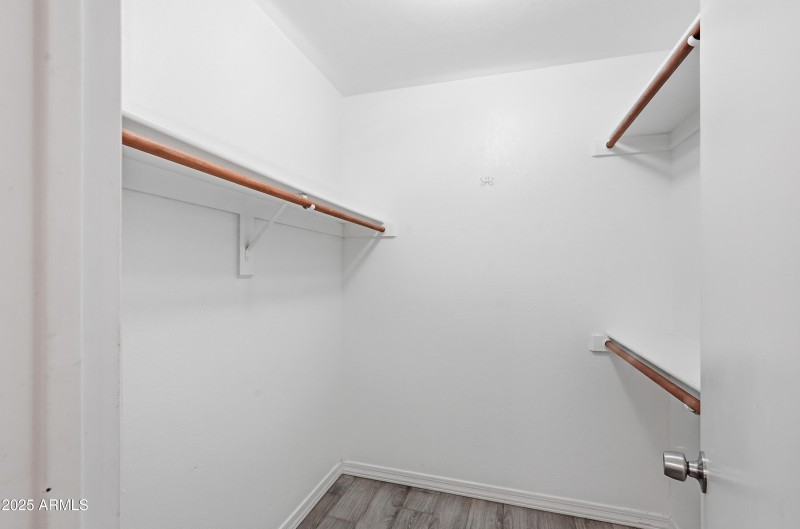 23-print-023_ListerPros