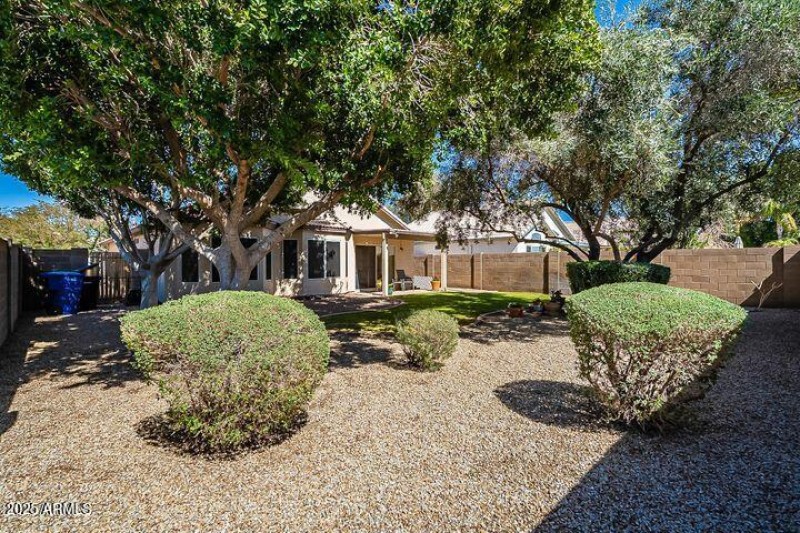 Caroline Ln-Backyard 02