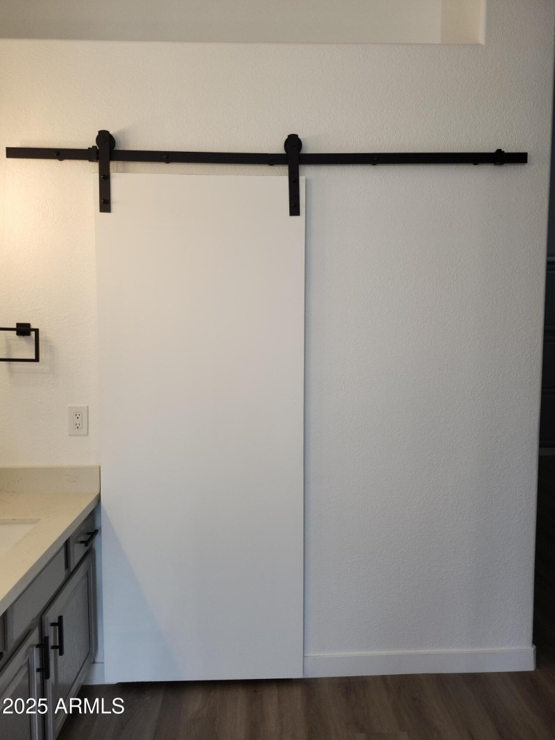 Primary Walk-in Closet w/Barn Door