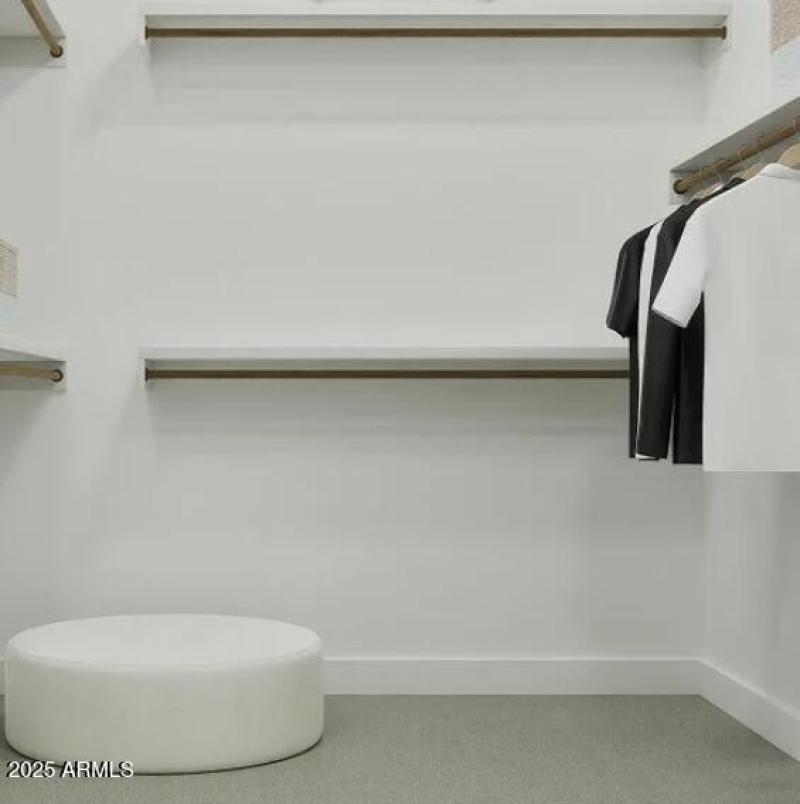 Owners Walk in Closet