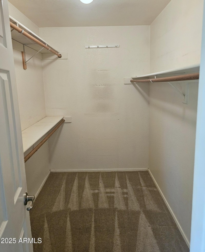 Primary Walk-in Closet