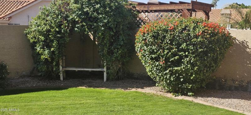 Lovely sitting area in backyard
