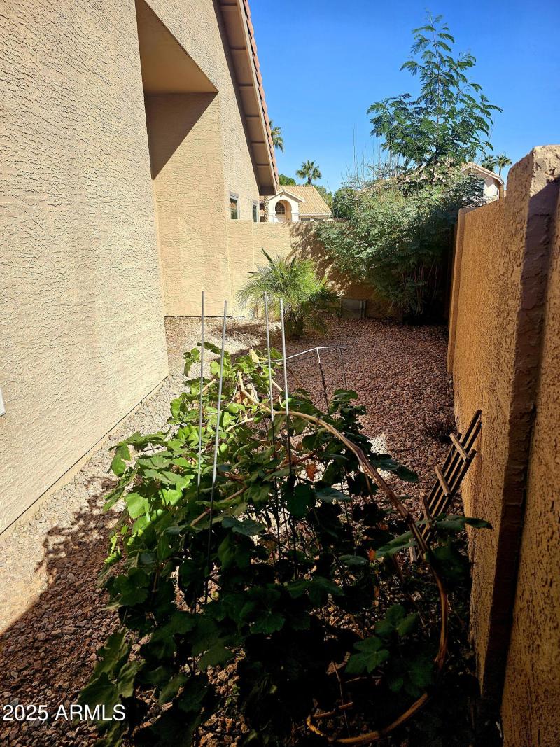 Garden area at side yard