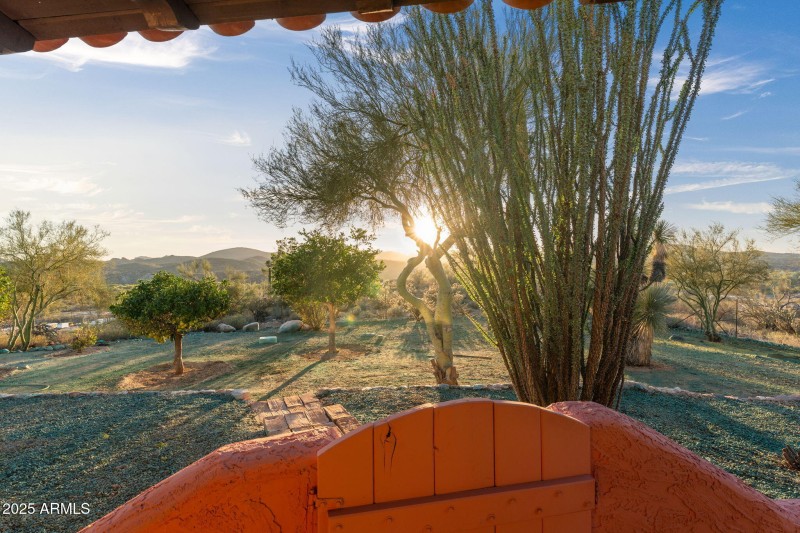 66-web-or-mls-DSC07276