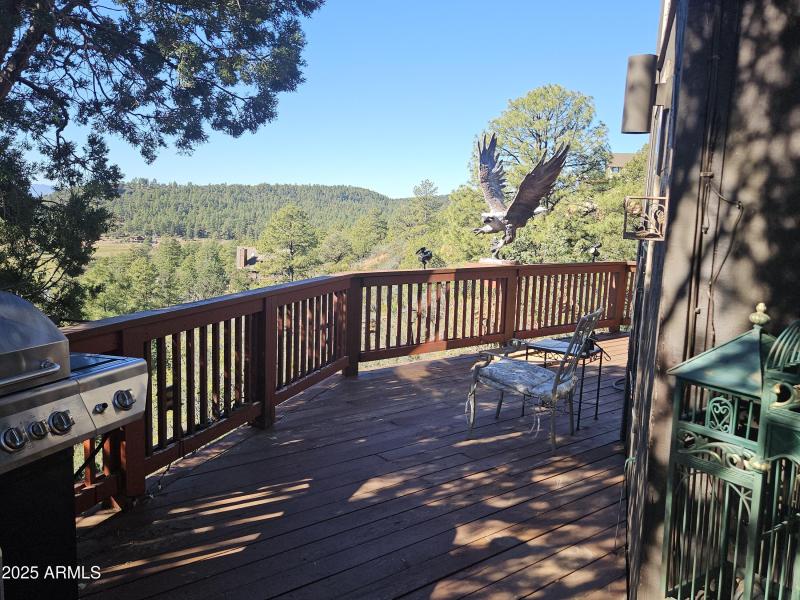 Back View to the South