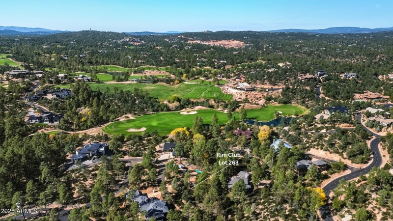 10_rim club lot 263 (3)