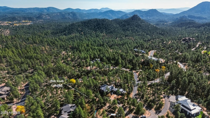 12_rim club lot 263 (5)