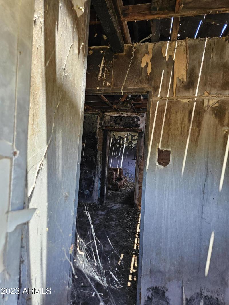 View from back windeow