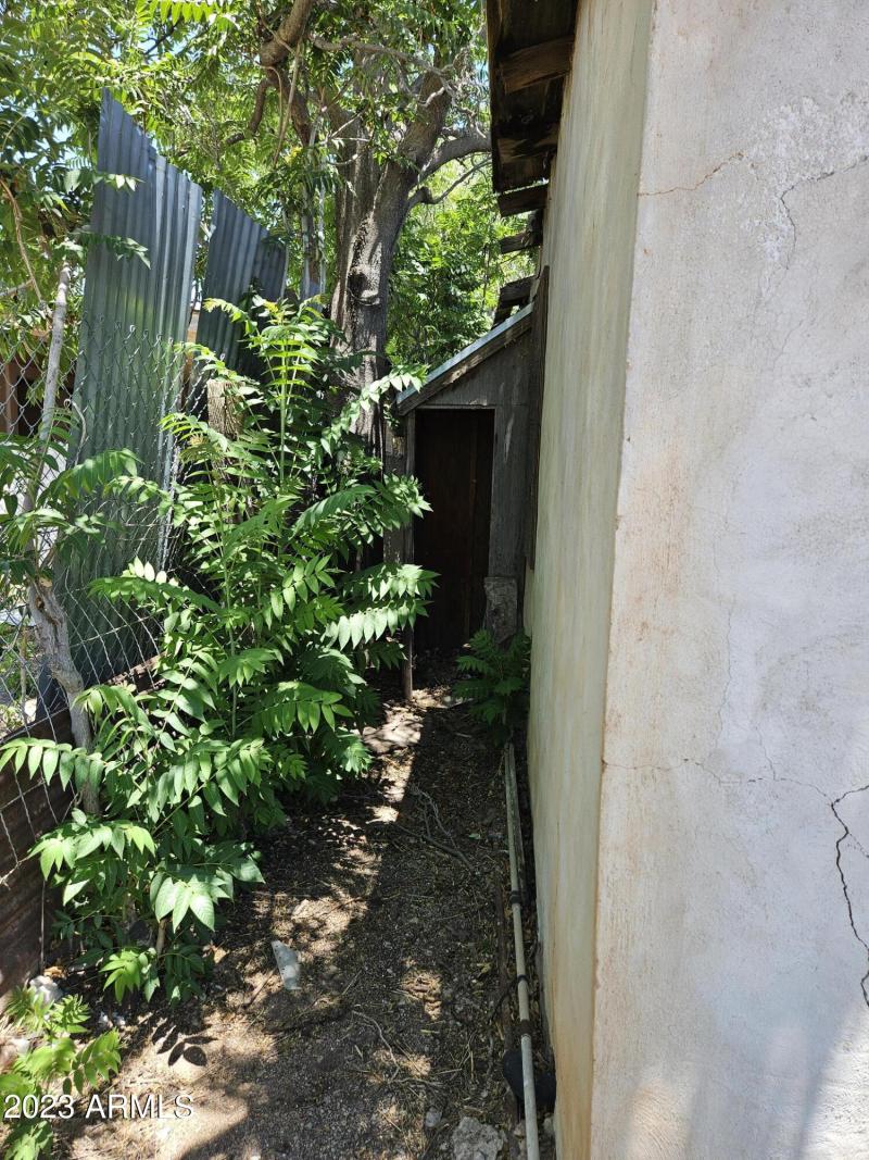 Backside of the house