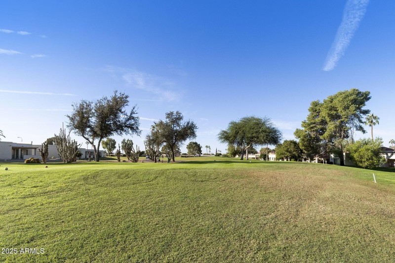 12-web-or-mls-DLB_8821