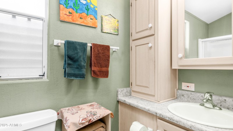 3710 S Goldfield Rd Lot 890 (15)