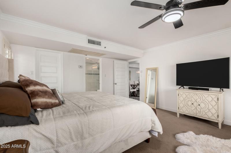 LARGE PRIMARY SPLIT SUITE