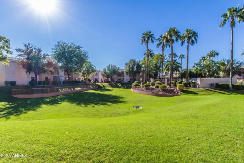 29 Indian School 230