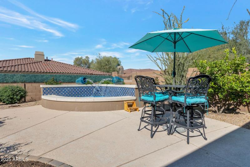 33572 N 79th Way backyard inground spa w