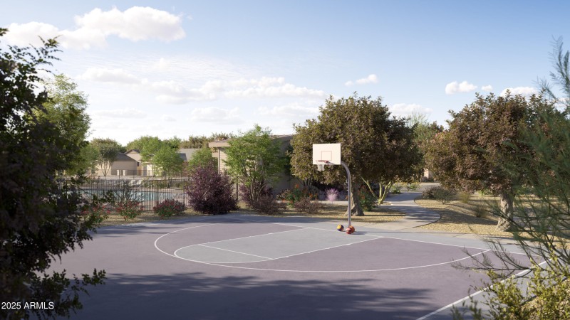 Basketball Court