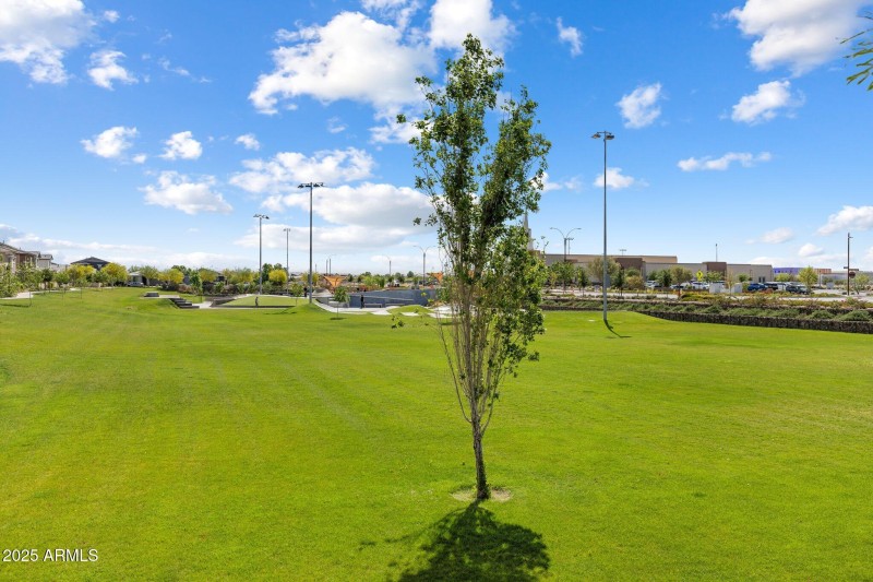 25-web-or-mls-IMG_9048