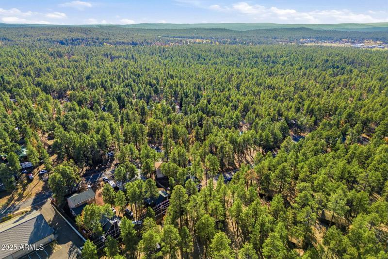 401SCottonTrailDr-PinetopLakeside-AZ-33