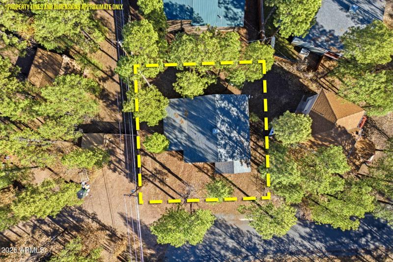 401 Cotton Tail Pinetop