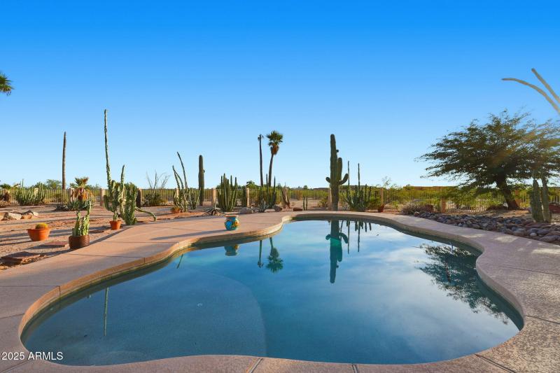 great views from the pool