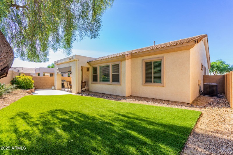 LOW MAINTENANCE TURF