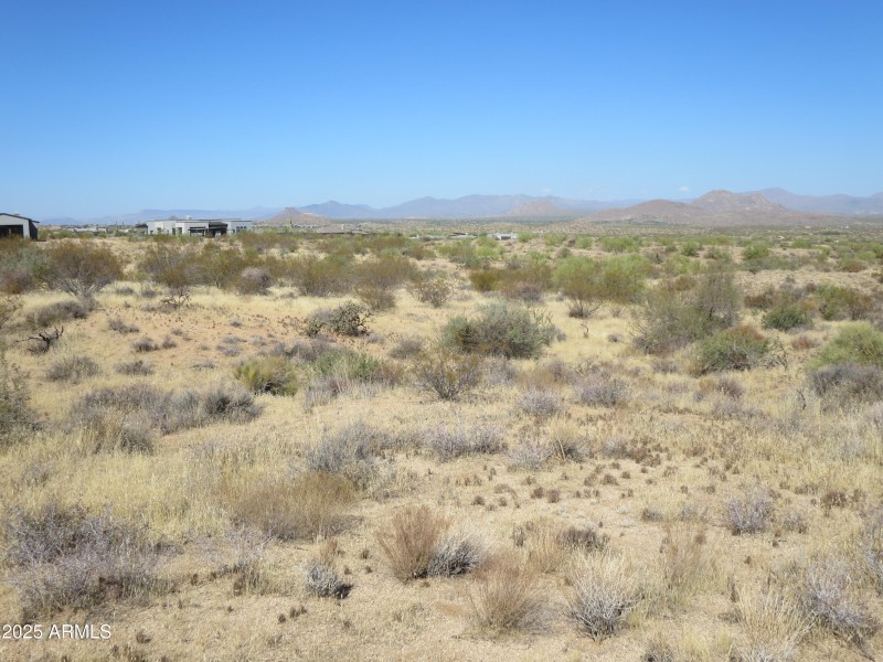 Looking north from the land