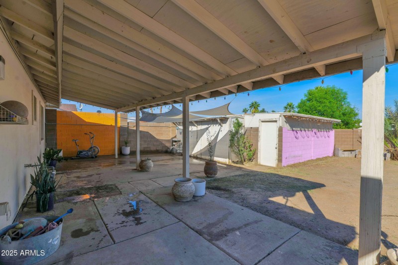 29-web-or-mls-P1360981