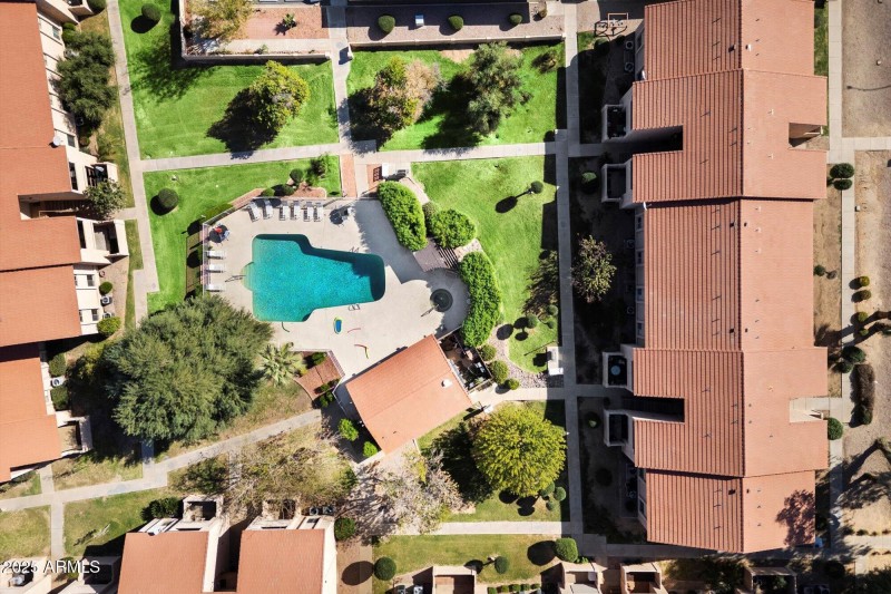 Community Pool & Amenities