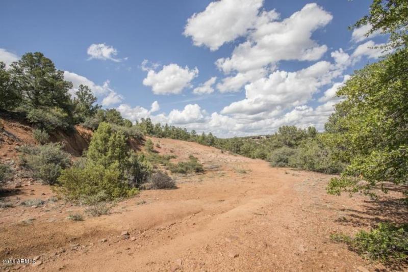 20160705230934451202000000-o[1]